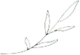 feuille